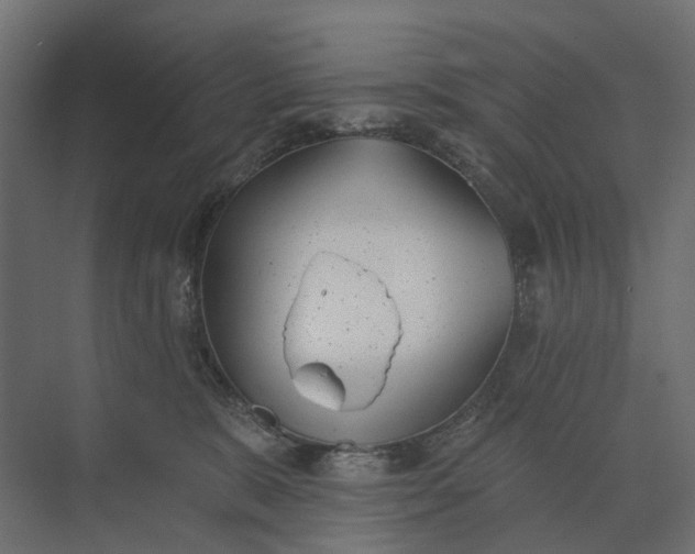 X0000073870327200608241141