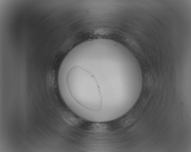 X0000073870328200608241141