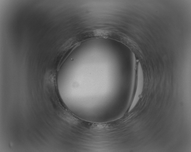 X0000073870329200608241141