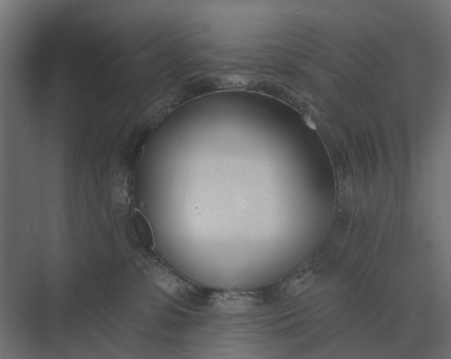 X0000073870331200608241141