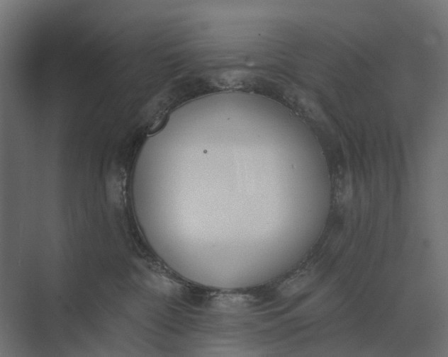 X0000073870332200608241141