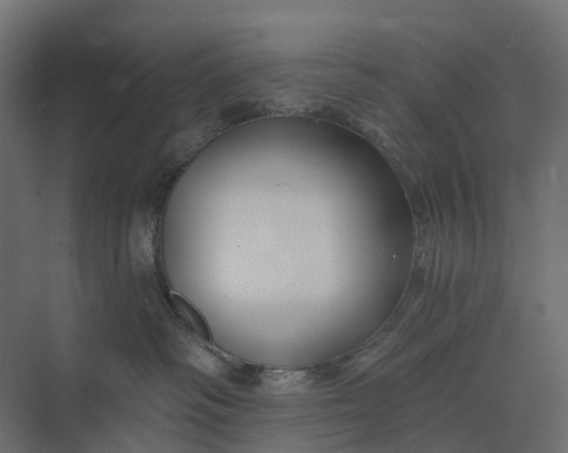 X0000073870334200608241141