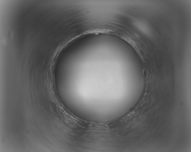 X0000073870337200608241140