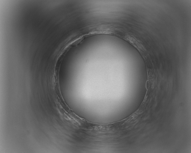 X0000073870338200608241140