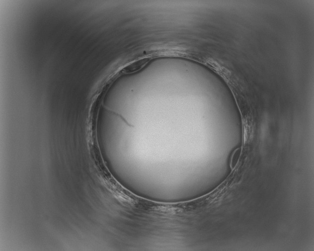 X0000073870339200608241140