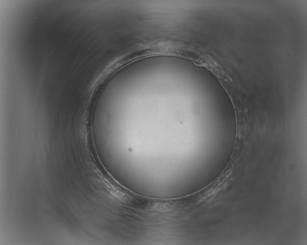 X0000073870341200608241140