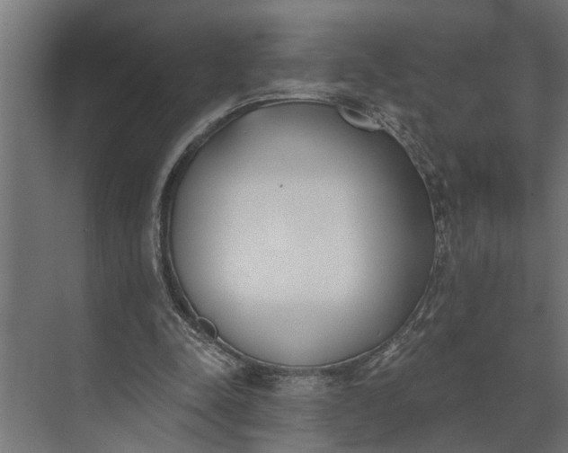 X0000073870342200608241140