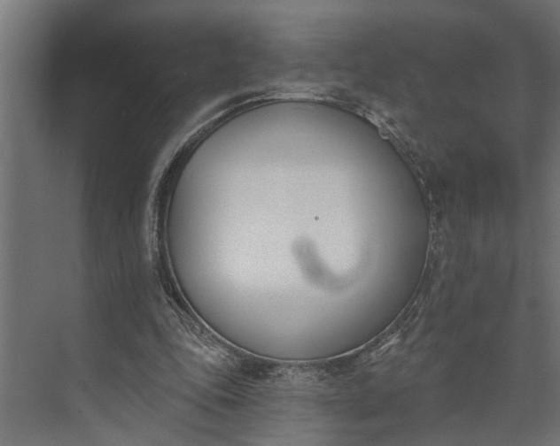 X0000073870343200608241140