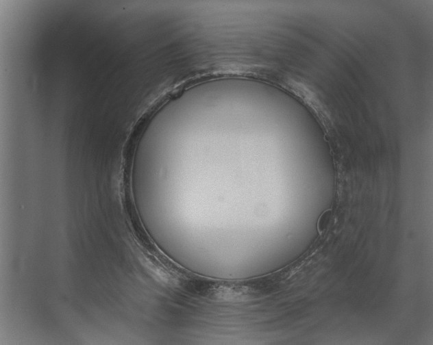 X0000073870346200608241140