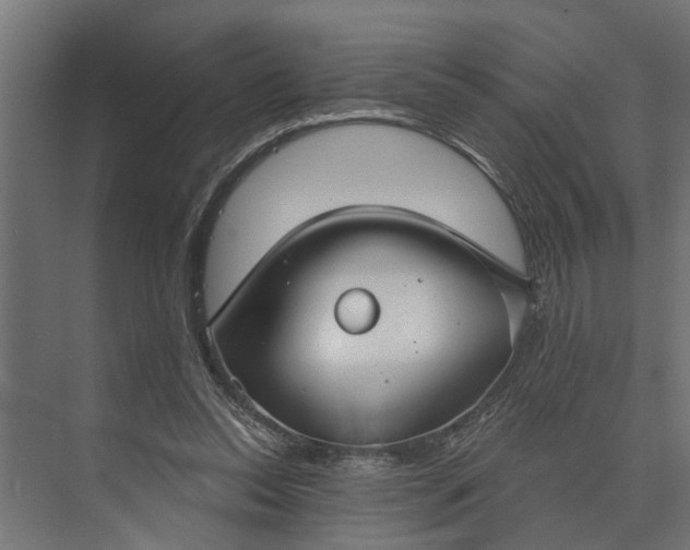 X0000073870350200608241140