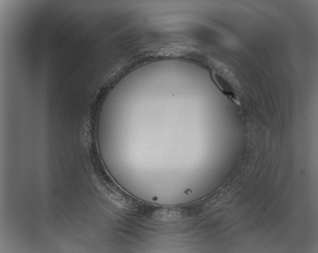 X0000073870354200608241140