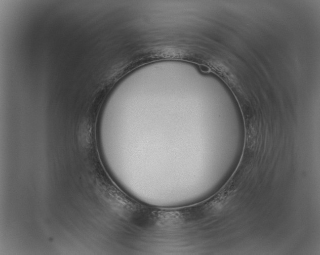 X0000073870355200608241140