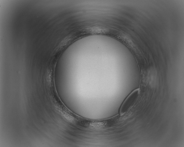 X0000073870357200608241140