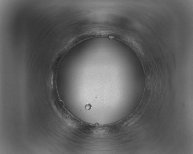 X0000073870358200608241140