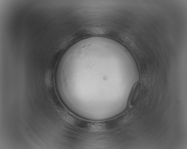 X0000073870359200608241140