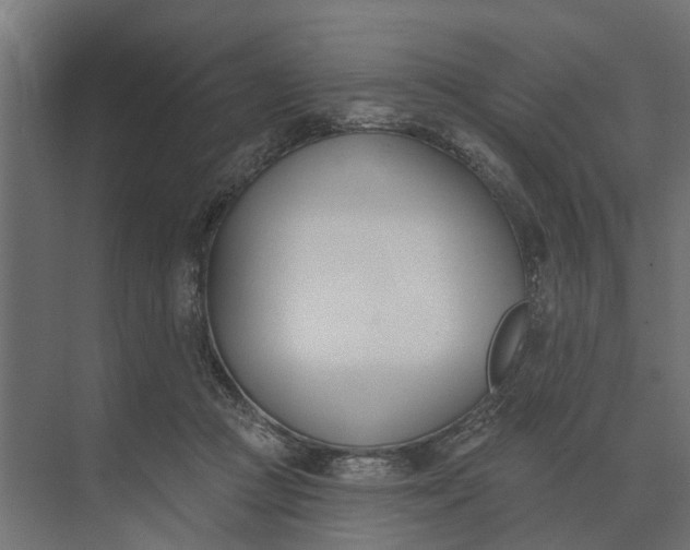 X0000073870361200608241140