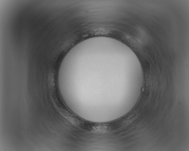 X0000073870362200608241140