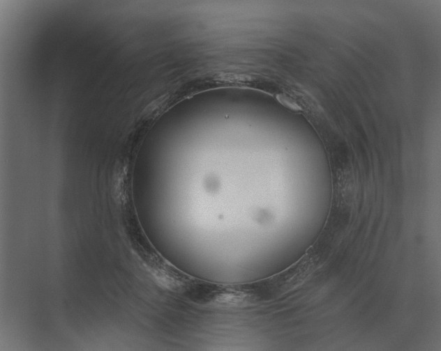 X0000073870364200608241140