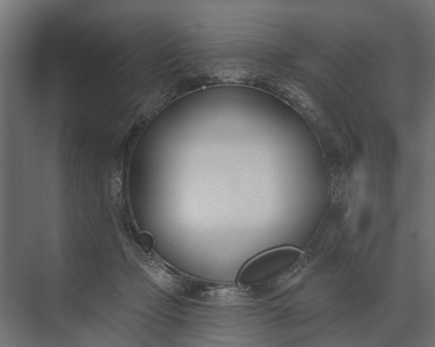 X0000073870365200608241140