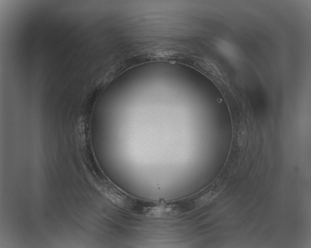 X0000073870366200608241140