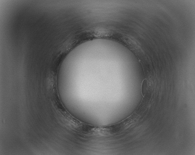 X0000073870367200608241141