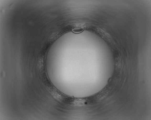 X0000073870369200608241141