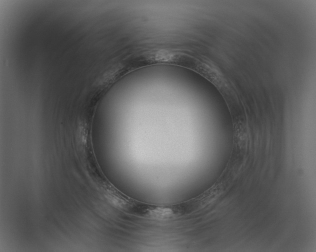 X0000073870374200608241141