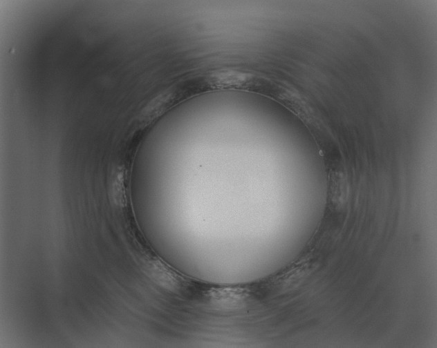 X0000073870378200608241141