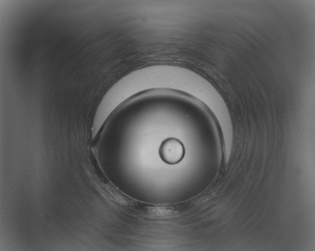 X0000073870380200608241141