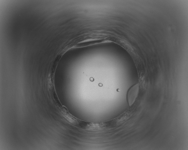 X0000073870381200608241141