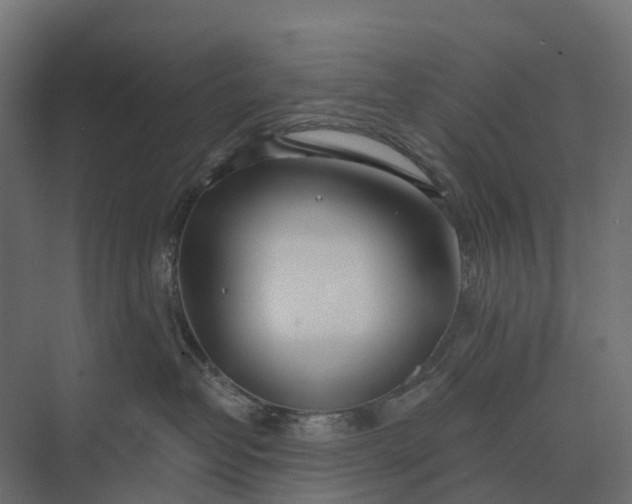 X0000073870382200608241141