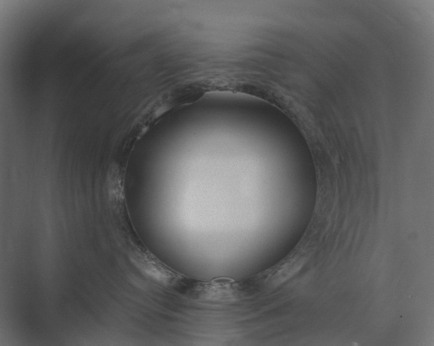 X0000073870384200608241141