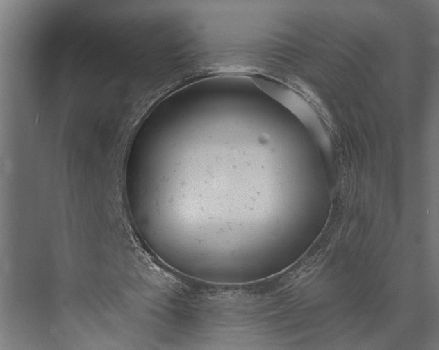 X0000073870385200608241140