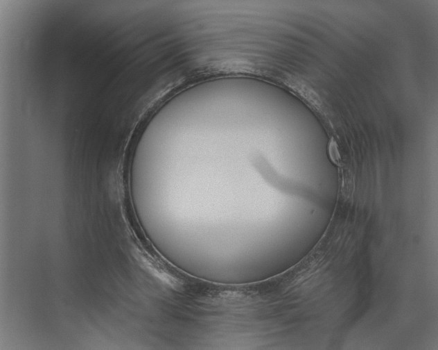 X0000073870390200608241140