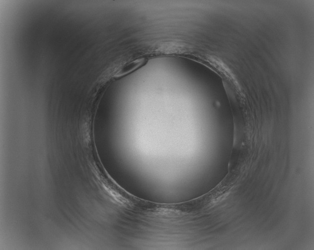 X0000073870393200608241140