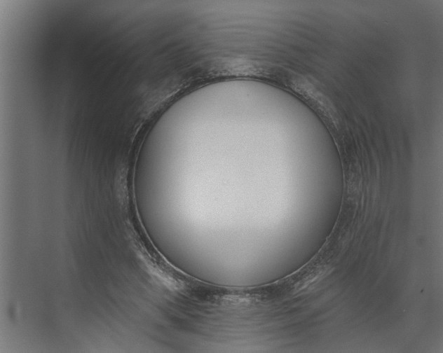 X0000073870394200608241140