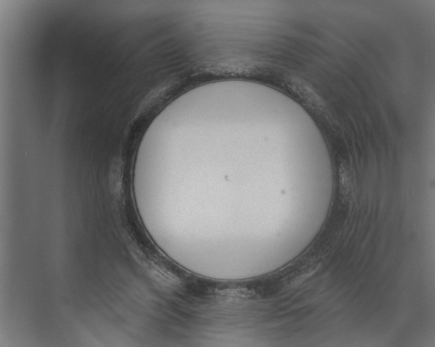 X0000073870396200608241140