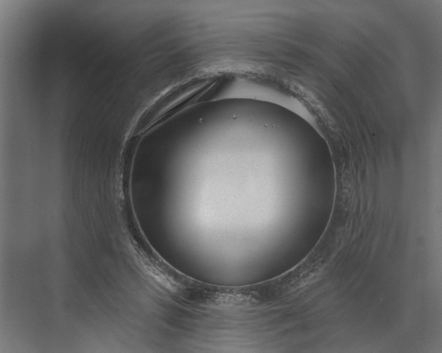 X0000073870399200608241140