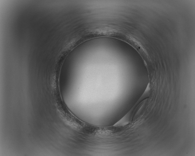 X0000073870403200608241140