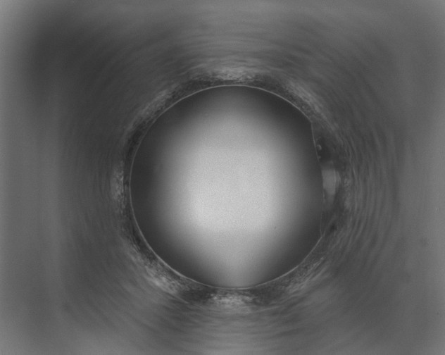 X0000073870407200608241140