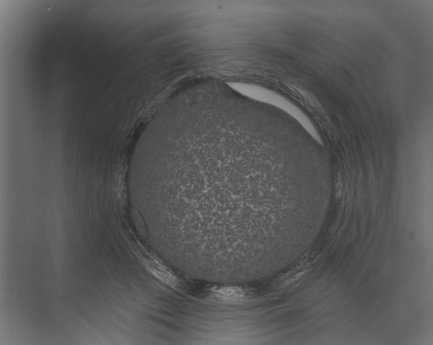 X0000073870409200608241140