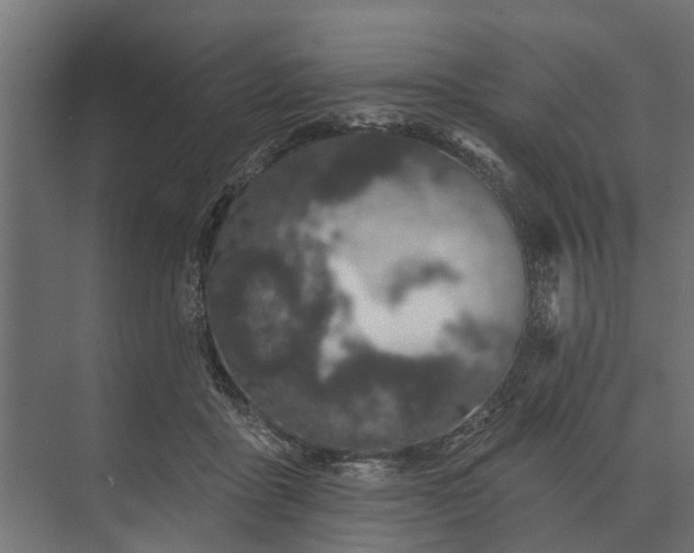 X0000073870411200608241140