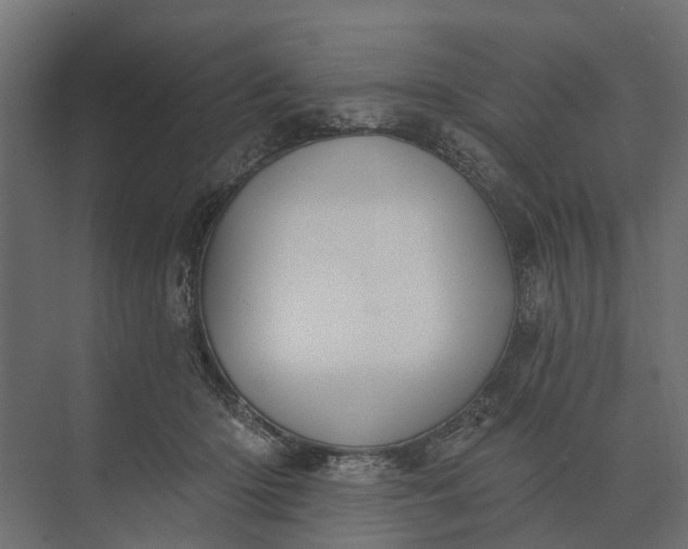 X0000073870414200608241140