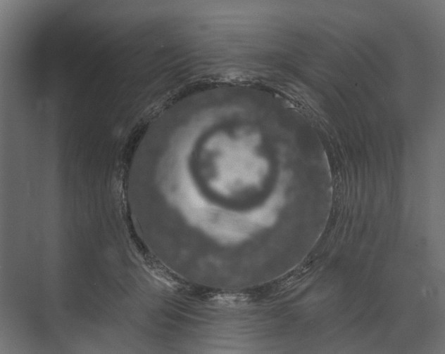 X0000073870415200608241139