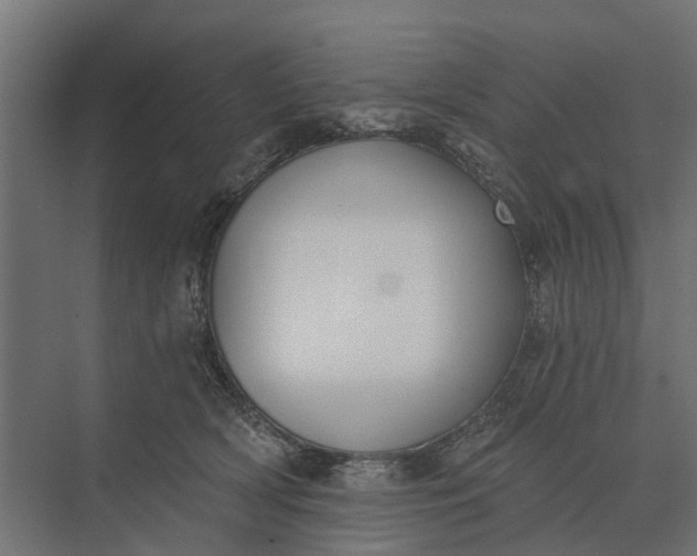 X0000073870418200608241139