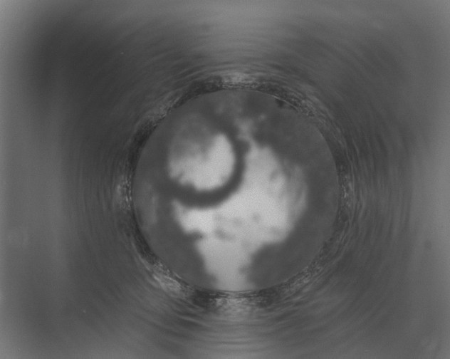 X0000073870419200608241139