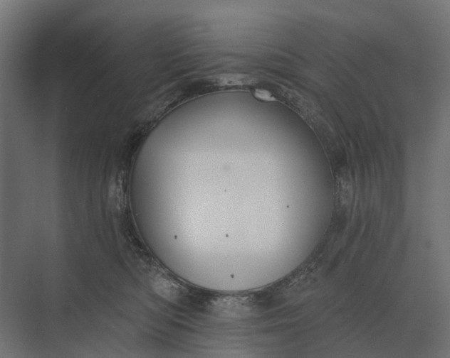 X0000073870422200608241139