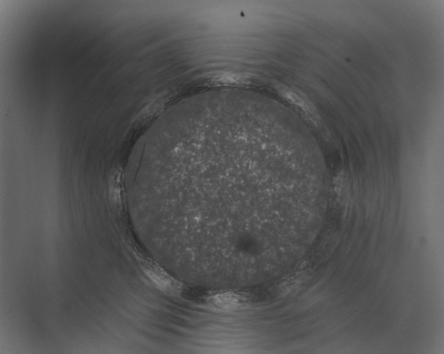 X0000073870423200608241139