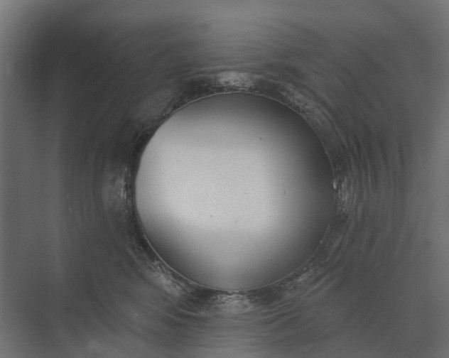 X0000073870424200608241139