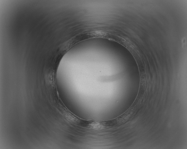 X0000073870425200608241139